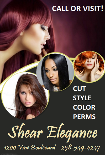 Salon Poster